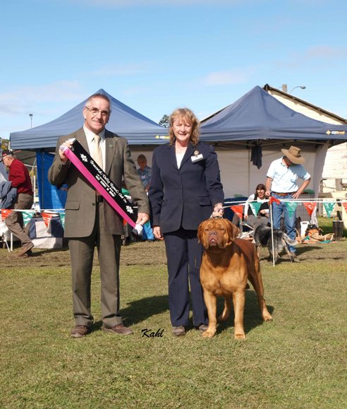 Best in Group Sunday. Judge - Mr W. Douglas.